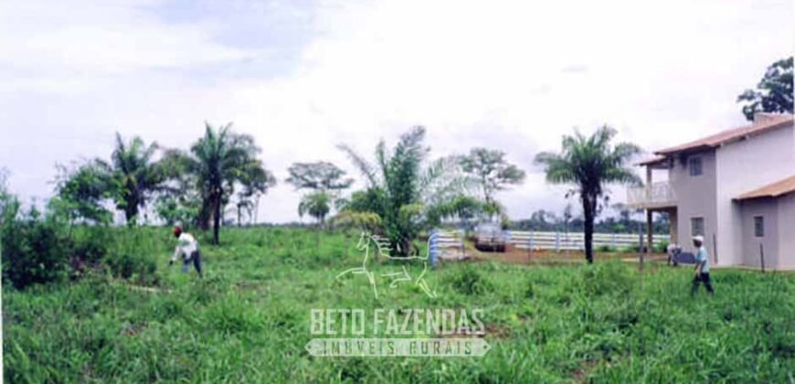 Venda de Fazendas Reunidas 111.000 hectares Um Gigante do Agronegócio no Tocantins Venda de Fazendas Reunidas 111.000 hectares Um Gigante do Agronegócio no Tocantins