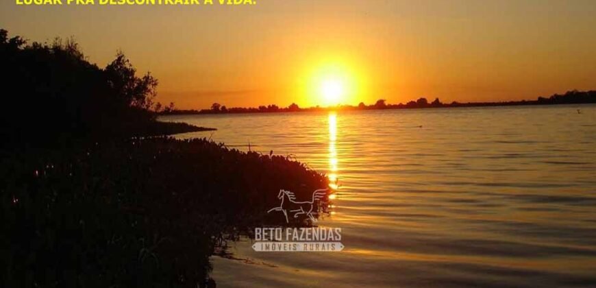 Venda de Fazendas Reunidas 111.000 hectares Um Gigante do Agronegócio no Tocantins Venda de Fazendas Reunidas 111.000 hectares Um Gigante do Agronegócio no Tocantins