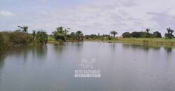 Venda de Fazendas Reunidas 111.000 hectares Um Gigante do Agronegócio no Tocantins Venda de Fazendas Reunidas 111.000 hectares Um Gigante do Agronegócio no Tocantins