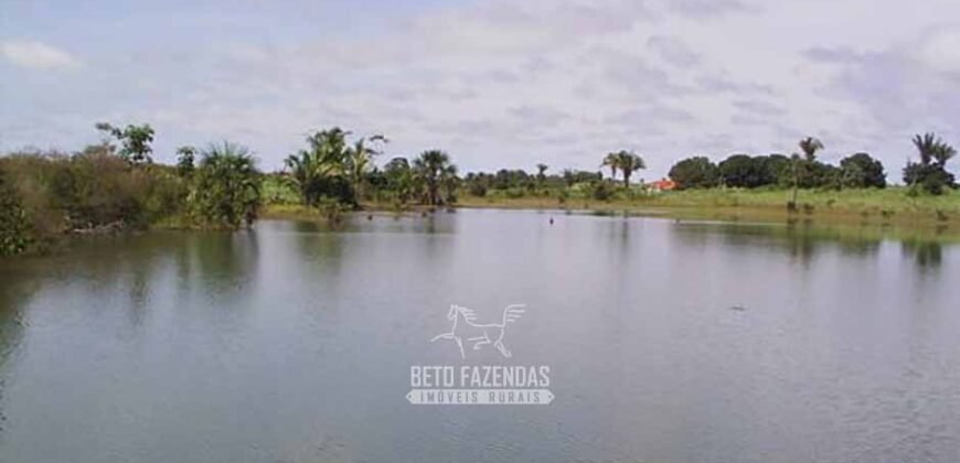 Venda de Fazendas Reunidas 111.000 hectares Um Gigante do Agronegócio no Tocantins Venda de Fazendas Reunidas 111.000 hectares Um Gigante do Agronegócio no Tocantins