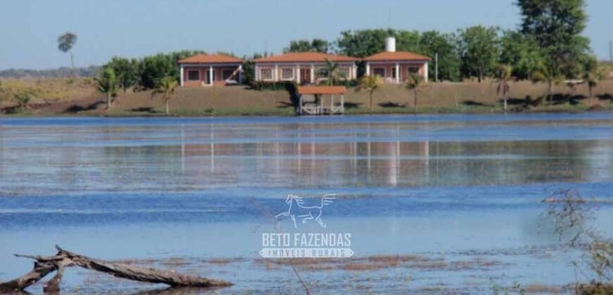 Venda de Fazendas Reunidas 111.000 hectares Um Gigante do Agronegócio no Tocantins Venda de Fazendas Reunidas 111.000 hectares Um Gigante do Agronegócio no Tocantins