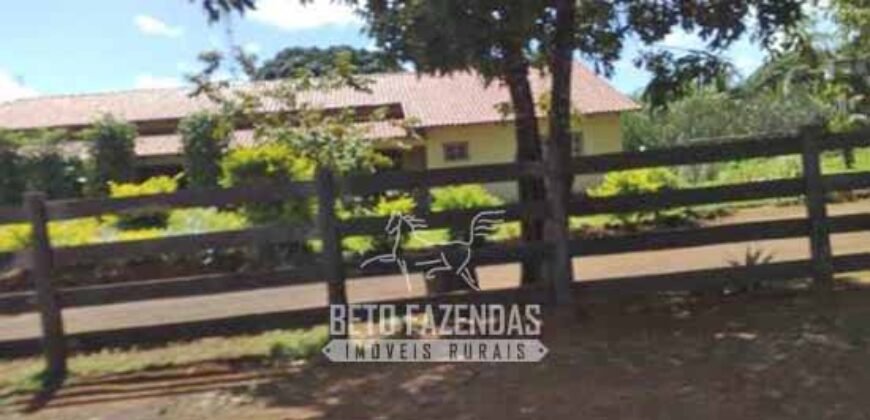 Venda de Fazendas Reunidas 111.000 hectares Um Gigante do Agronegócio no Tocantins Venda de Fazendas Reunidas 111.000 hectares Um Gigante do Agronegócio no Tocantins