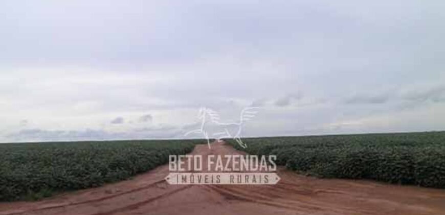 Venda de Fazendas Reunidas 111.000 hectares Um Gigante do Agronegócio no Tocantins Venda de Fazendas Reunidas 111.000 hectares Um Gigante do Agronegócio no Tocantins