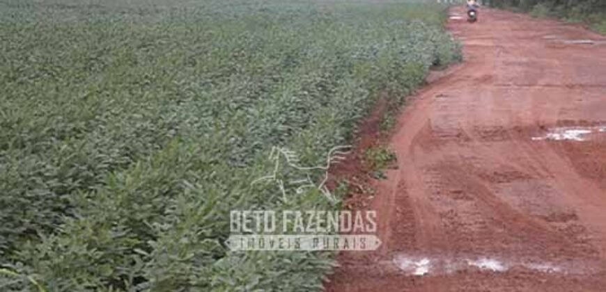 Venda de Fazendas Reunidas 111.000 hectares Um Gigante do Agronegócio no Tocantins Venda de Fazendas Reunidas 111.000 hectares Um Gigante do Agronegócio no Tocantins