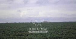 Venda de Fazendas Reunidas 111.000 hectares Um Gigante do Agronegócio no Tocantins Venda de Fazendas Reunidas 111.000 hectares Um Gigante do Agronegócio no Tocantins