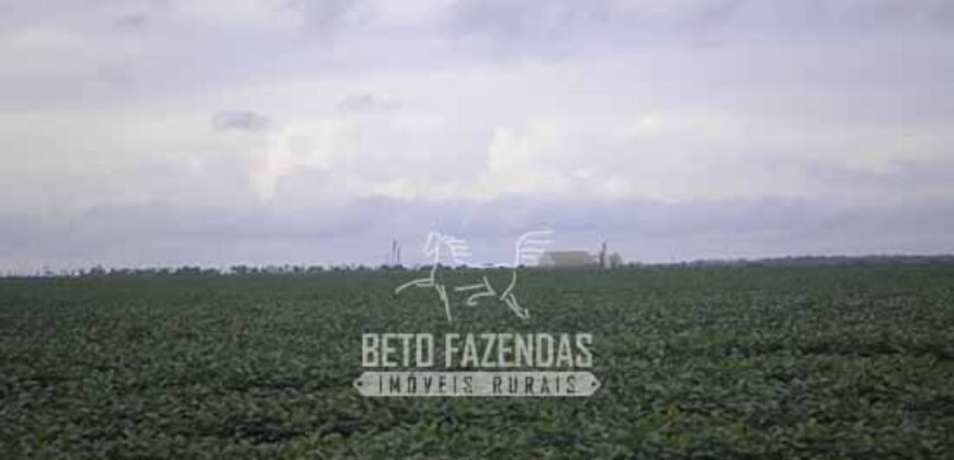 Venda de Fazendas Reunidas 111.000 hectares Um Gigante do Agronegócio no Tocantins Venda de Fazendas Reunidas 111.000 hectares Um Gigante do Agronegócio no Tocantins