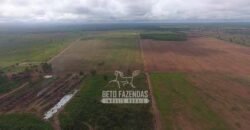 Venda de Fazendas Reunidas 111.000 hectares Um Gigante do Agronegócio no Tocantins Venda de Fazendas Reunidas 111.000 hectares Um Gigante do Agronegócio no Tocantins