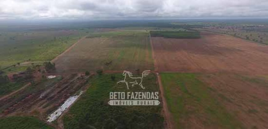 Venda de Fazendas Reunidas 111.000 hectares Um Gigante do Agronegócio no Tocantins Venda de Fazendas Reunidas 111.000 hectares Um Gigante do Agronegócio no Tocantins
