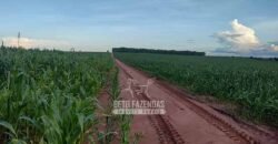 Venda de Fazendas Reunidas 111.000 hectares Um Gigante do Agronegócio no Tocantins Venda de Fazendas Reunidas 111.000 hectares Um Gigante do Agronegócio no Tocantins