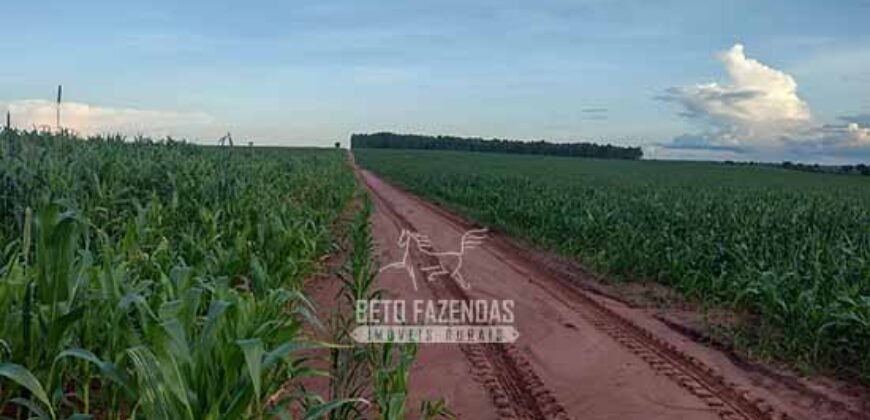 Venda de Fazendas Reunidas 111.000 hectares Um Gigante do Agronegócio no Tocantins Venda de Fazendas Reunidas 111.000 hectares Um Gigante do Agronegócio no Tocantins