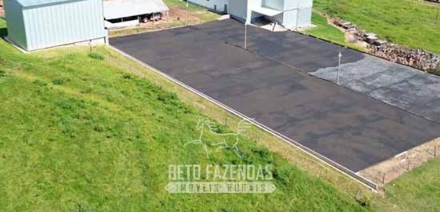 Fazenda de Café 786,88 hectares com Dupla Aptidão e Infraestrutura Completa | Região de Garça/ SP Fazenda de Café 786,88 hectares com Dupla Aptidão e Infraestrutura Completa | Região de Garça/ SP