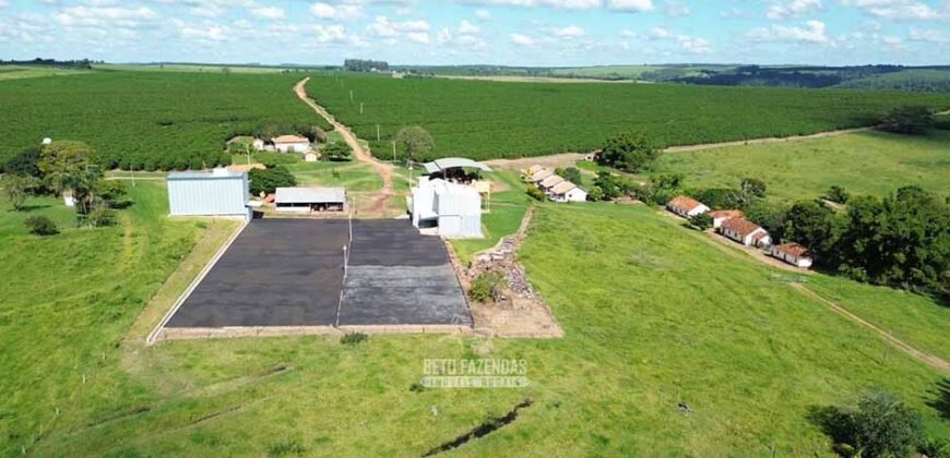 Fazenda de Café 786,88 hectares com Dupla Aptidão e Infraestrutura Completa | Região de Garça/ SP Fazenda de Café 786,88 hectares com Dupla Aptidão e Infraestrutura Completa | Região de Garça/ SP