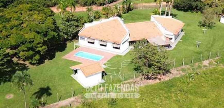 Fazenda de Café 786,88 hectares com Dupla Aptidão e Infraestrutura Completa | Região de Garça/ SP Fazenda de Café 786,88 hectares com Dupla Aptidão e Infraestrutura Completa | Região de Garça/ SP