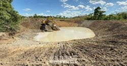 Fazenda Completa 1.723 Hectares Pecuária com “Porteira Fechada” | Paranã/ TO Fazenda Completa 1.723 Hectares Pecuária com “Porteira Fechada” | Paranã/ TO