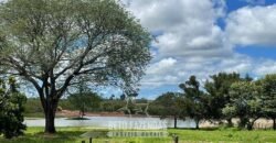 Fazenda Completa 1.723 Hectares Pecuária com “Porteira Fechada” | Paranã/ TO Fazenda Completa 1.723 Hectares Pecuária com “Porteira Fechada” | Paranã/ TO