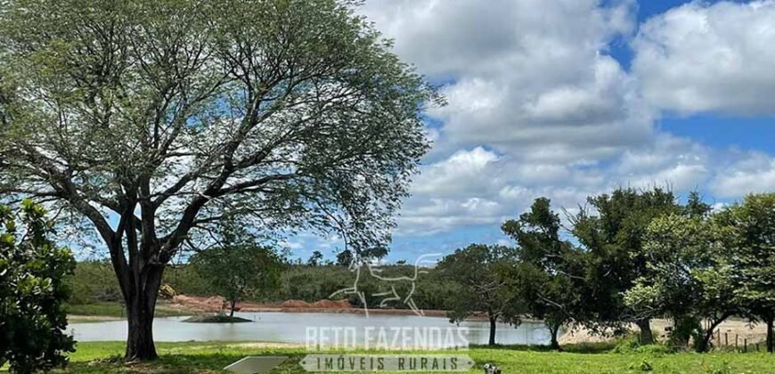 Fazenda Completa 1.723 Hectares Pecuária com “Porteira Fechada” | Paranã/ TO Fazenda Completa 1.723 Hectares Pecuária com “Porteira Fechada” | Paranã/ TO