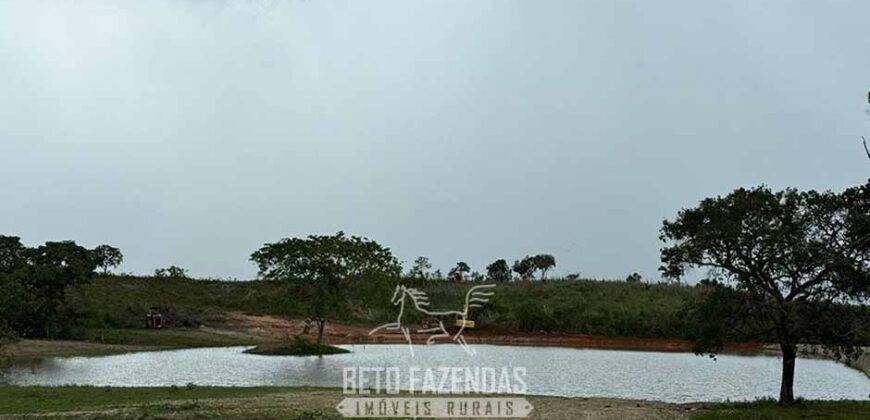Fazenda Completa 1.723 Hectares Pecuária com “Porteira Fechada” | Paranã/ TO Fazenda Completa 1.723 Hectares Pecuária com “Porteira Fechada” | Paranã/ TO