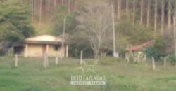 Fazenda à Venda de 760 Hectares Pecuária e Eucalipto às Margens da Represa de Paraibuna/SP Fazenda à Venda de 760 Hectares Pecuária e Eucalipto às Margens da Represa de Paraibuna/SP