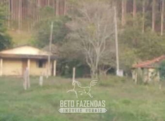 Fazenda à Venda de 760 Hectares Pecuária e Eucalipto às Margens da Represa de Paraibuna/SP