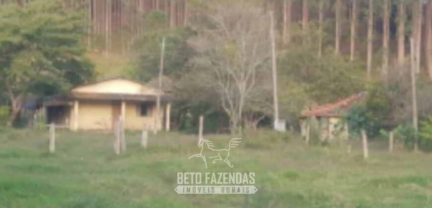 Fazenda à Venda de 760 Hectares Pecuária e Eucalipto às Margens da Represa de Paraibuna/SP Fazenda à Venda de 760 Hectares Pecuária e Eucalipto às Margens da Represa de Paraibuna/SP