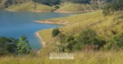 Fazenda à Venda de 760 Hectares Pecuária e Eucalipto às Margens da Represa de Paraibuna/SP Fazenda à Venda de 760 Hectares Pecuária e Eucalipto às Margens da Represa de Paraibuna/SP