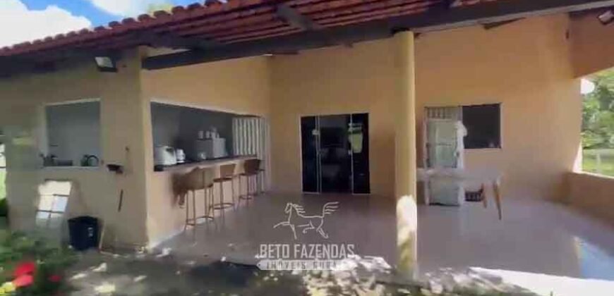 Fazenda Completa 1.723 Hectares Pecuária com “Porteira Fechada” | Paranã/ TO Fazenda Completa 1.723 Hectares Pecuária com “Porteira Fechada” | Paranã/ TO