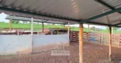 Fazenda Completa 1.723 Hectares Pecuária com “Porteira Fechada” | Paranã/ TO Fazenda Completa 1.723 Hectares Pecuária com “Porteira Fechada” | Paranã/ TO