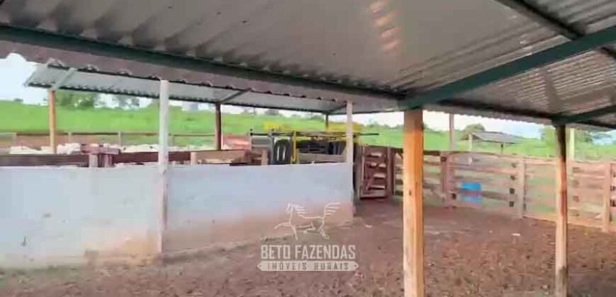 Fazenda Completa 1.723 Hectares Pecuária com “Porteira Fechada” | Paranã/ TO Fazenda Completa 1.723 Hectares Pecuária com “Porteira Fechada” | Paranã/ TO