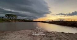 Fazenda Completa 1.723 Hectares Pecuária com “Porteira Fechada” | Paranã/ TO Fazenda Completa 1.723 Hectares Pecuária com “Porteira Fechada” | Paranã/ TO