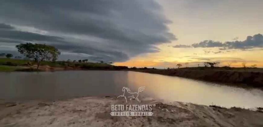 Fazenda Completa 1.723 Hectares Pecuária com “Porteira Fechada” | Paranã/ TO Fazenda Completa 1.723 Hectares Pecuária com “Porteira Fechada” | Paranã/ TO