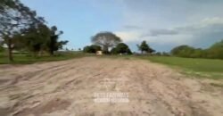 Fazenda Completa 1.723 Hectares Pecuária com “Porteira Fechada” | Paranã/ TO Fazenda Completa 1.723 Hectares Pecuária com “Porteira Fechada” | Paranã/ TO