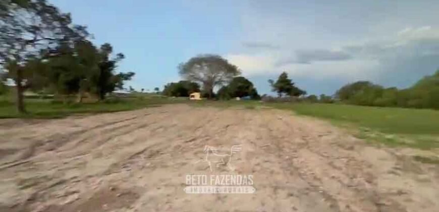 Fazenda Completa 1.723 Hectares Pecuária com “Porteira Fechada” | Paranã/ TO Fazenda Completa 1.723 Hectares Pecuária com “Porteira Fechada” | Paranã/ TO