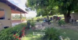 Fazenda Completa 1.723 Hectares Pecuária com “Porteira Fechada” | Paranã/ TO Fazenda Completa 1.723 Hectares Pecuária com “Porteira Fechada” | Paranã/ TO