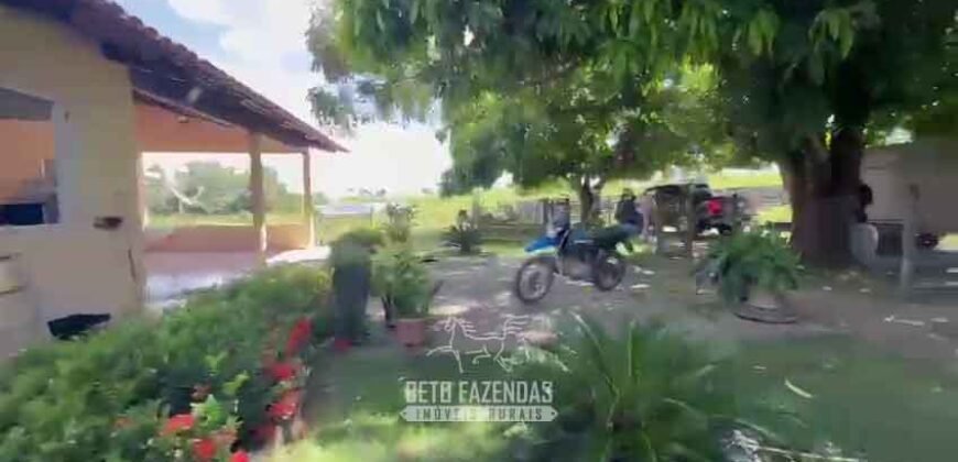 Fazenda Completa 1.723 Hectares Pecuária com “Porteira Fechada” | Paranã/ TO Fazenda Completa 1.723 Hectares Pecuária com “Porteira Fechada” | Paranã/ TO