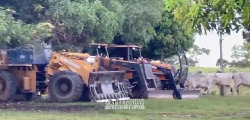 Fazenda Completa 1.723 Hectares Pecuária com “Porteira Fechada” | Paranã/ TO Fazenda Completa 1.723 Hectares Pecuária com “Porteira Fechada” | Paranã/ TO