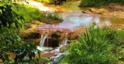 Excelente Fazenda 2.582 hectares à Venda Boiadeira Pecuária | Região de São José dos Campos/ SP