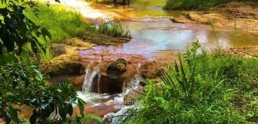 Excelente Fazenda 2.582 hectares à Venda Boiadeira Pecuária | Região de São José dos Campos/ SP