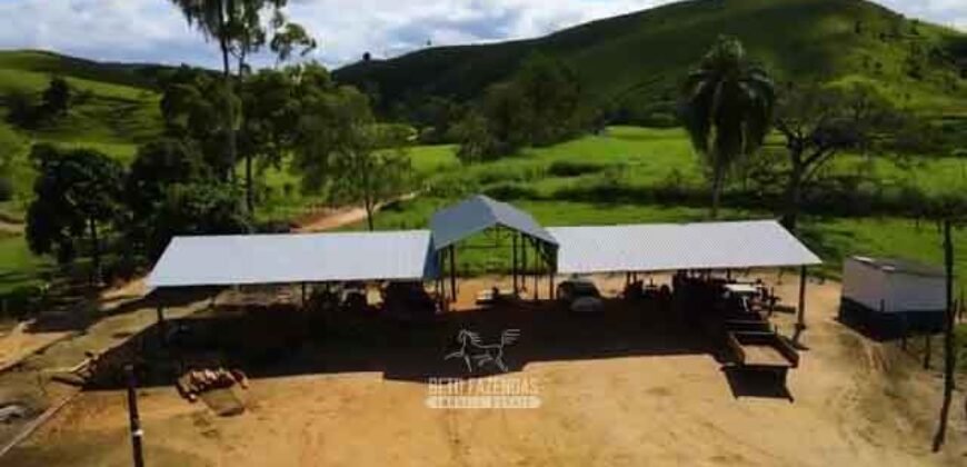 Excelente Fazenda 2.582 hectares à Venda Boiadeira Pecuária | Região de São José dos Campos/ SP