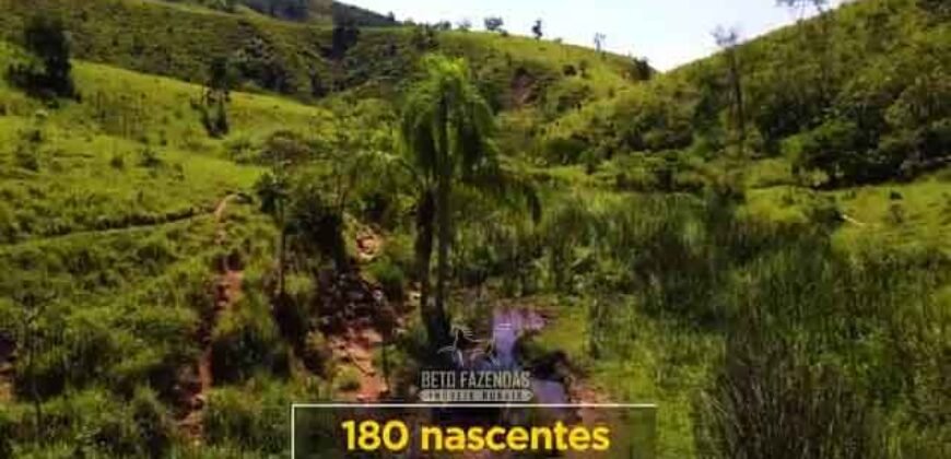 Excelente Fazenda 2.582 hectares à Venda Boiadeira Pecuária | Região de São José dos Campos/ SP