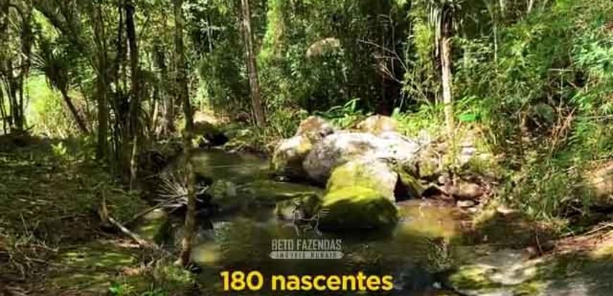 Excelente Fazenda 2.582 hectares à Venda Boiadeira Pecuária | Região de São José dos Campos/ SP