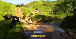 Excelente Fazenda 2.582 hectares à Venda Boiadeira Pecuária | Região de São José dos Campos/ SP