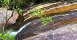 Excelente Fazenda 2.582 hectares à Venda Boiadeira Pecuária | Região de São José dos Campos/ SP