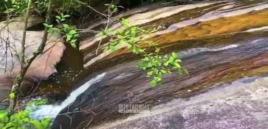 Excelente Fazenda 2.582 hectares à Venda Boiadeira Pecuária | Região de São José dos Campos/ SP