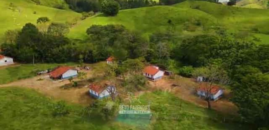 Excelente Fazenda 2.582 hectares à Venda Boiadeira Pecuária | Região de São José dos Campos/ SP