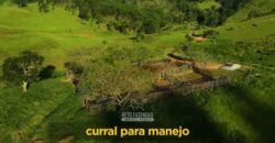 Excelente Fazenda 2.582 hectares à Venda Boiadeira Pecuária | Região de São José dos Campos/ SP