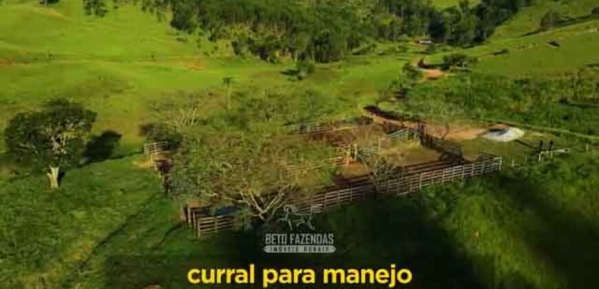 Excelente Fazenda 2.582 hectares à Venda Boiadeira Pecuária | Região de São José dos Campos/ SP