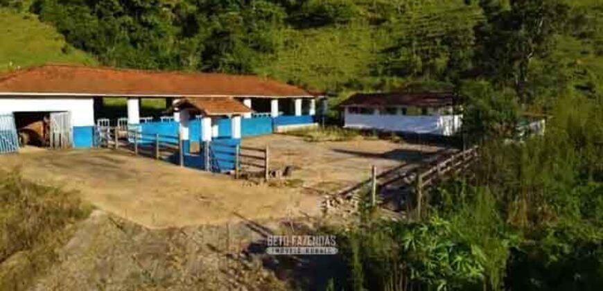 Excelente Fazenda 2.582 hectares à Venda Boiadeira Pecuária | Região de São José dos Campos/ SP