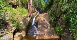 Excelente Fazenda 2.582 hectares à Venda Boiadeira Pecuária | Região de São José dos Campos/ SP