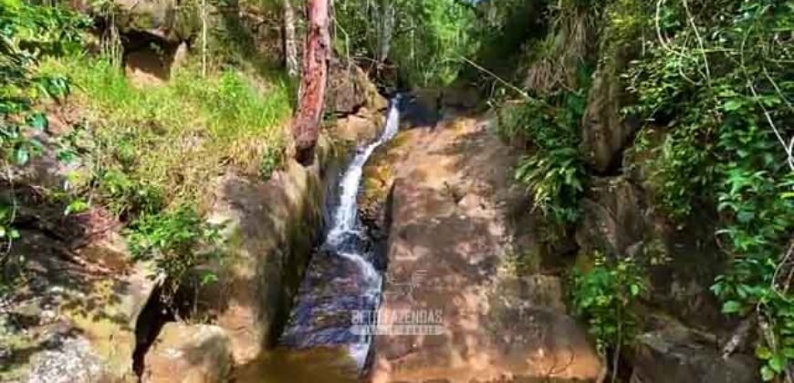 Excelente Fazenda 2.582 hectares à Venda Boiadeira Pecuária | Região de São José dos Campos/ SP