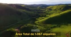 Excelente Fazenda 2.582 hectares à Venda Boiadeira Pecuária | Região de São José dos Campos/ SP